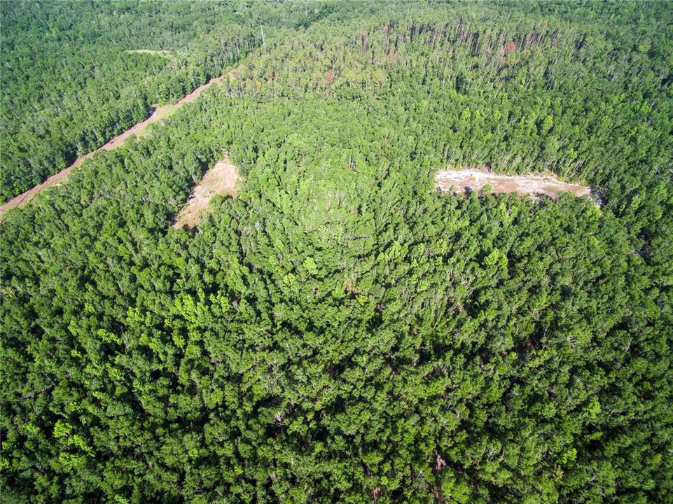 待售: $528,000 (43.93 acres)