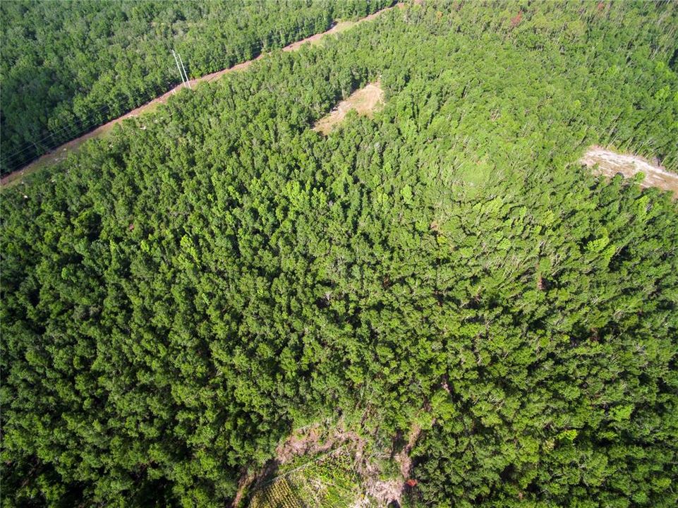待售: $528,000 (43.93 acres)