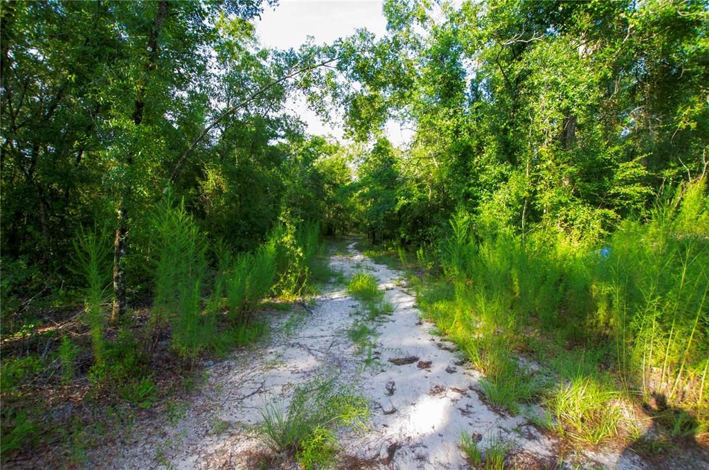待售: $528,000 (43.93 acres)