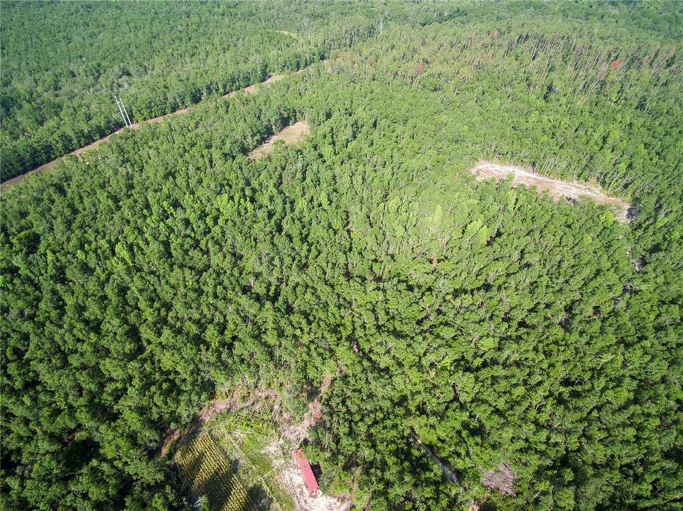 待售: $528,000 (43.93 acres)