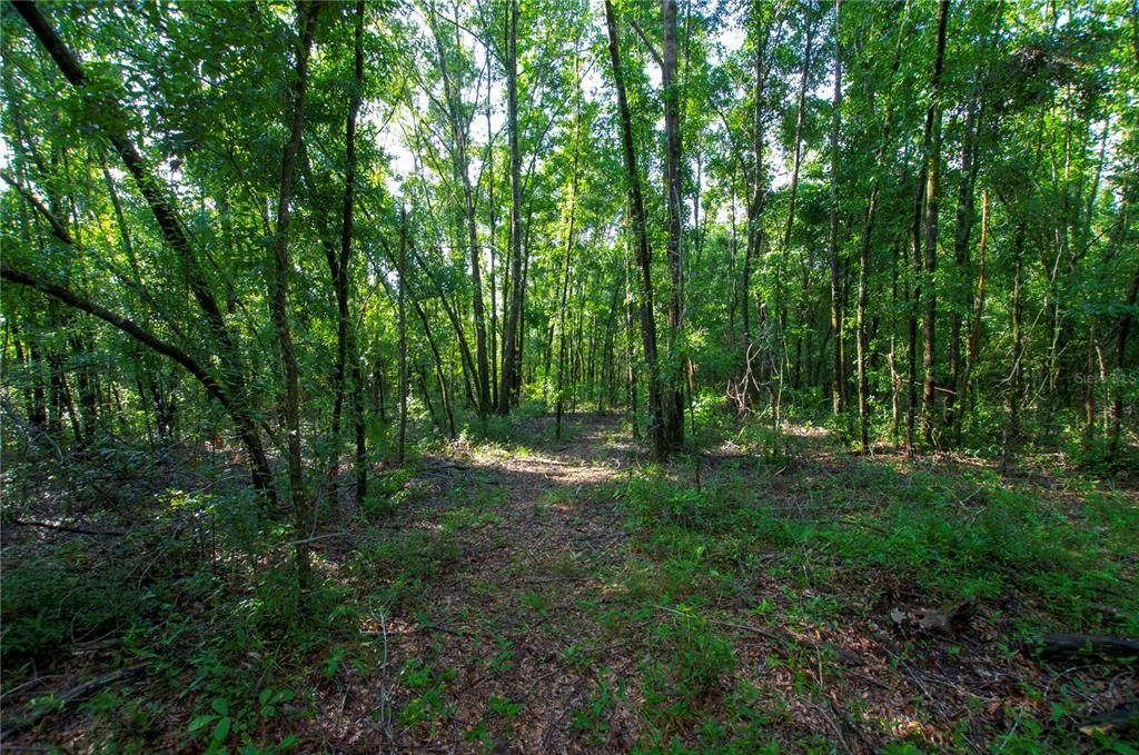 待售: $528,000 (43.93 acres)