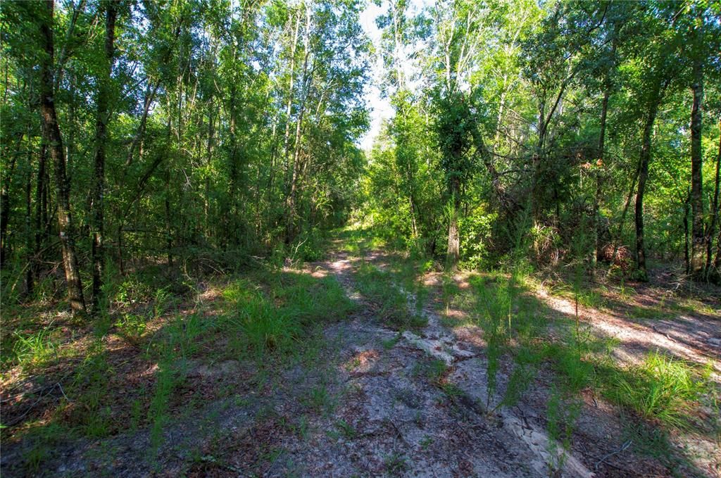 待售: $528,000 (43.93 acres)