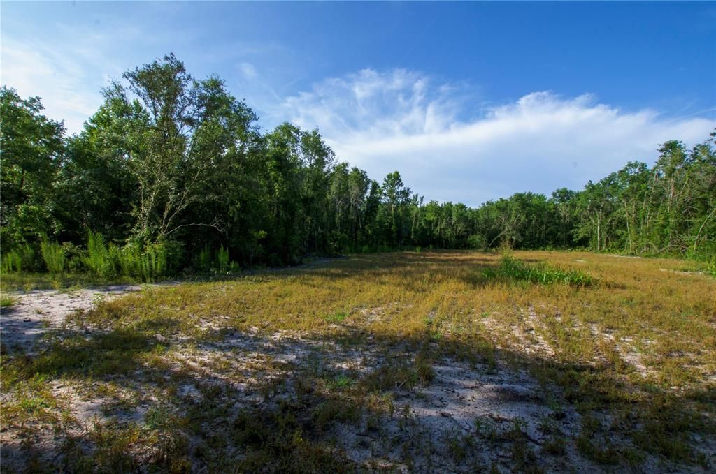 待售: $528,000 (43.93 acres)
