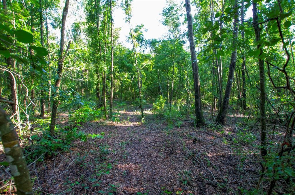 待售: $528,000 (43.93 acres)