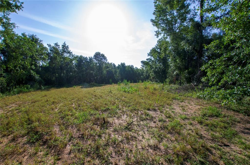 待售: $528,000 (43.93 acres)