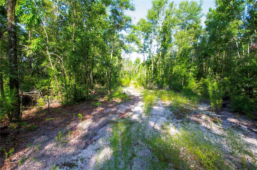 待售: $528,000 (43.93 acres)