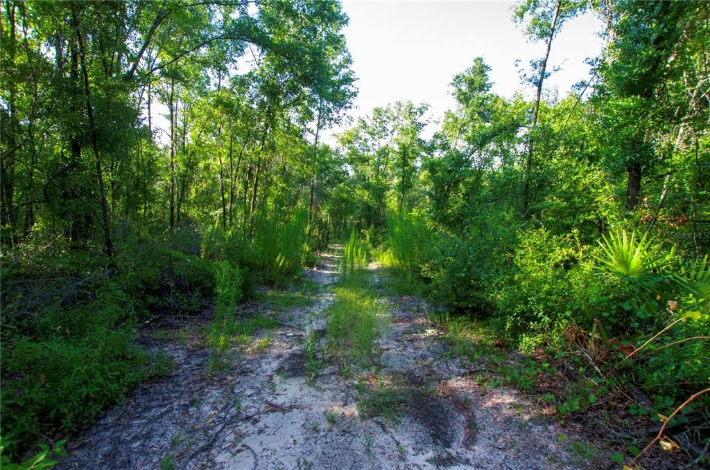 待售: $528,000 (43.93 acres)