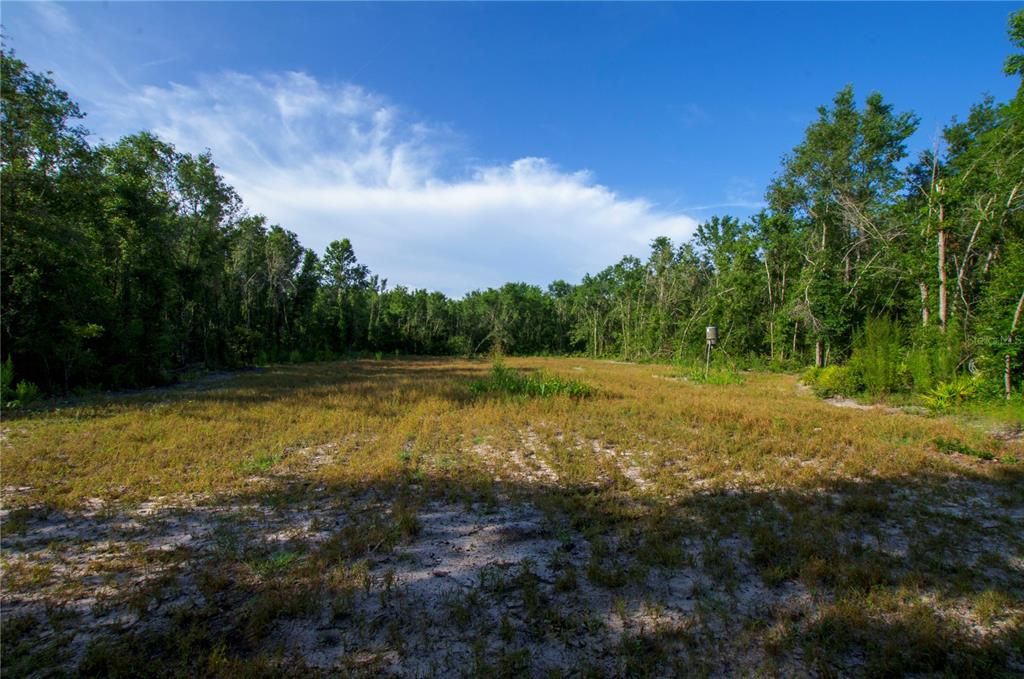 待售: $528,000 (43.93 acres)