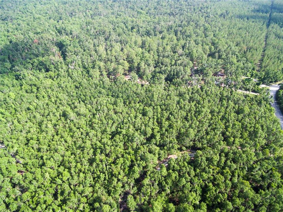 待售: $528,000 (43.93 acres)