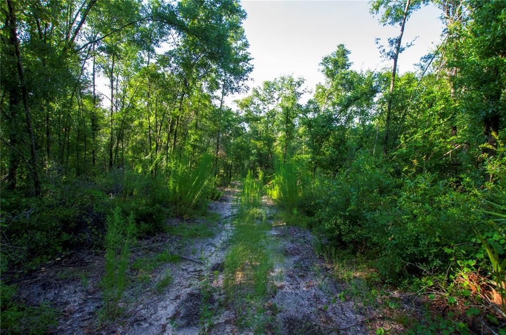 待售: $528,000 (43.93 acres)
