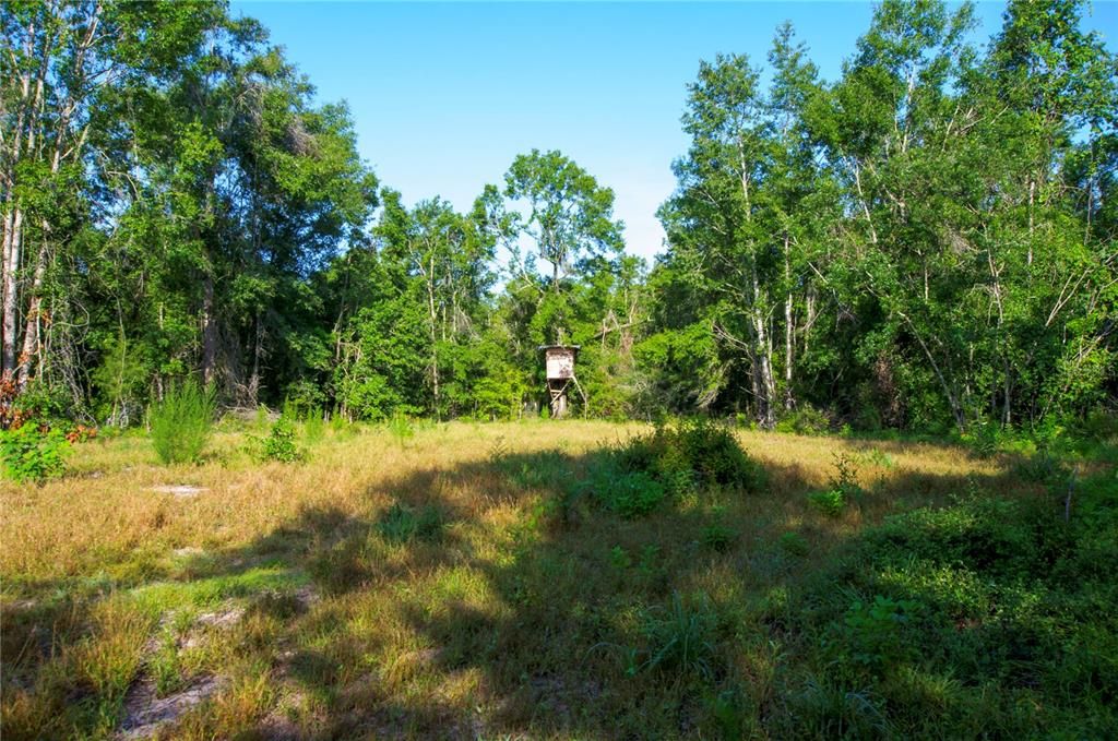 待售: $528,000 (43.93 acres)