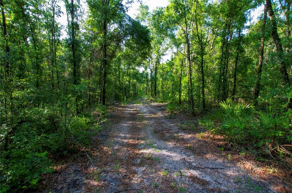 待售: $528,000 (43.93 acres)