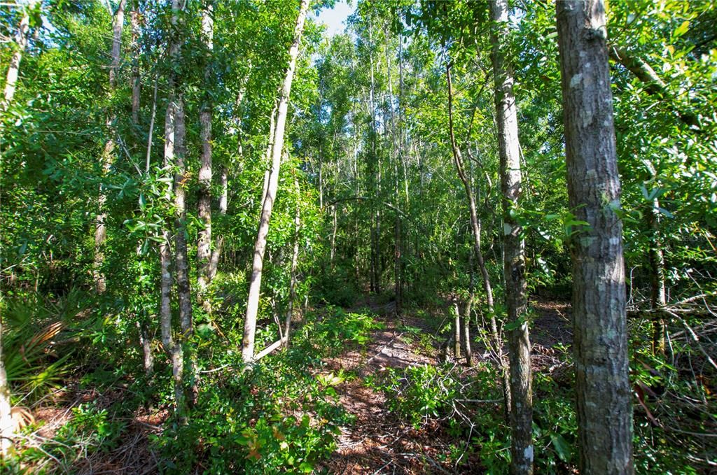 待售: $528,000 (43.93 acres)