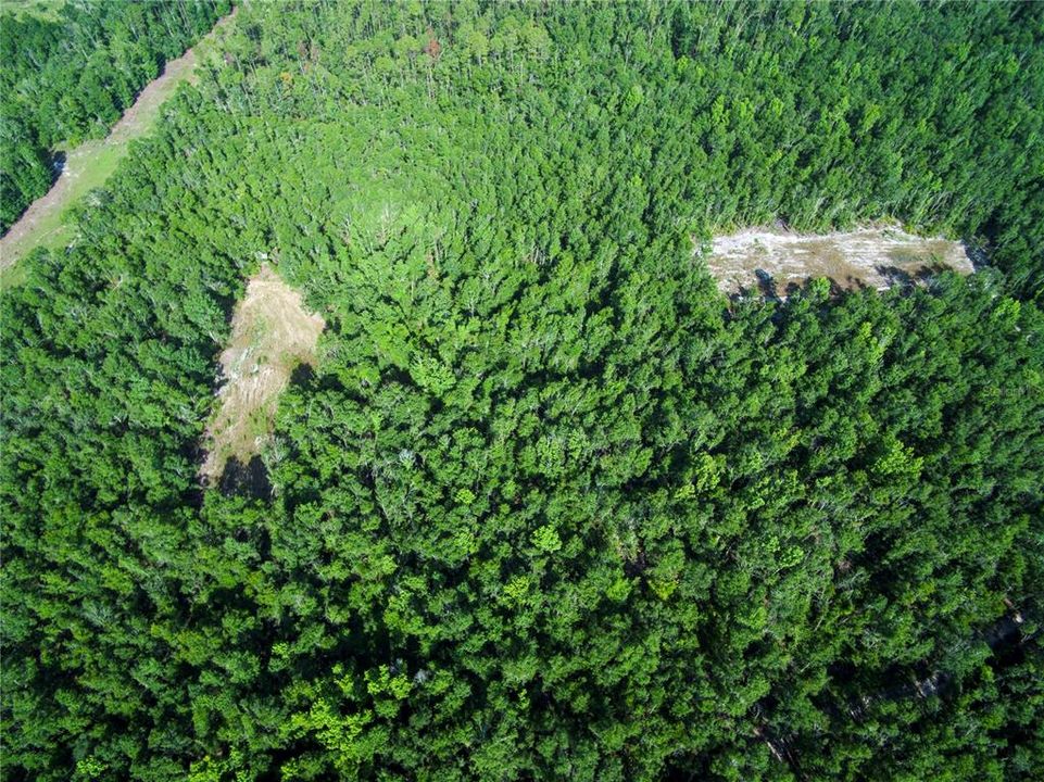 待售: $528,000 (43.93 acres)