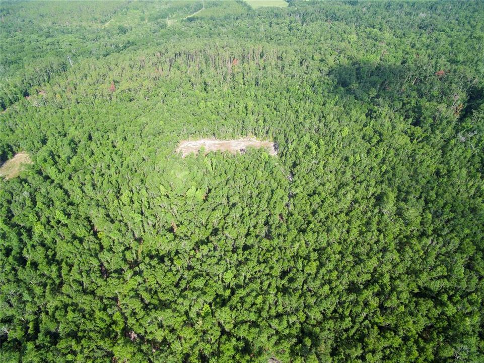 待售: $528,000 (43.93 acres)