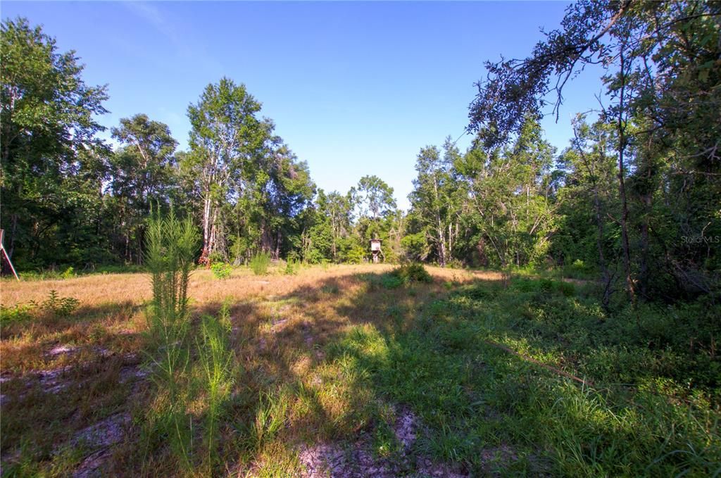 待售: $528,000 (43.93 acres)