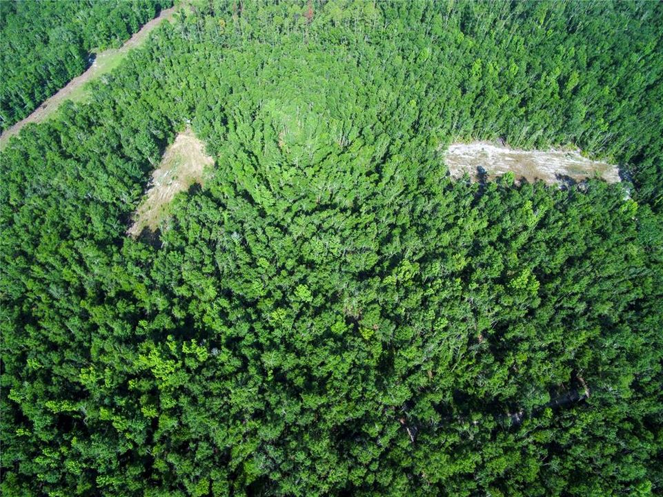 待售: $528,000 (43.93 acres)