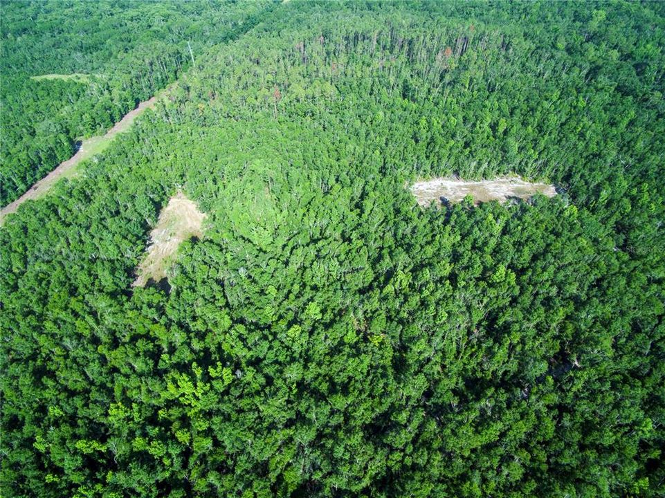 待售: $528,000 (43.93 acres)