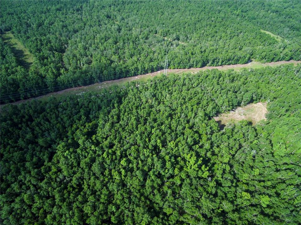 待售: $528,000 (43.93 acres)