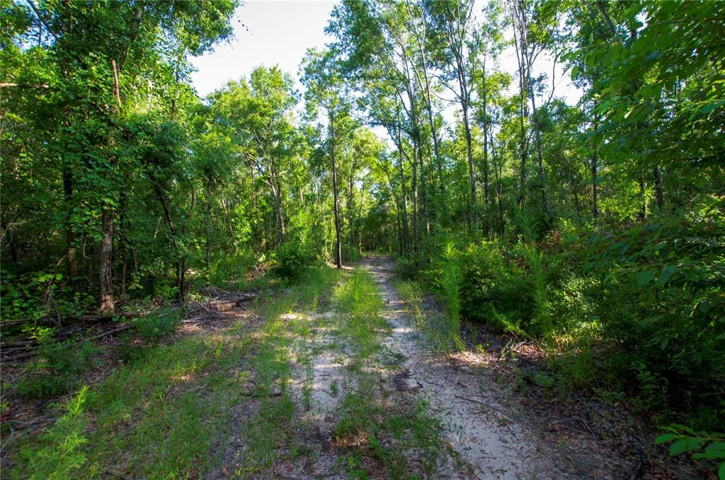 待售: $528,000 (43.93 acres)