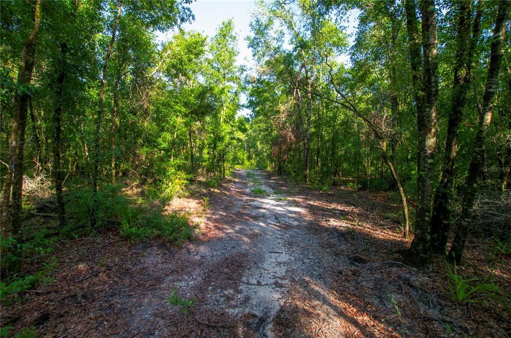 待售: $528,000 (43.93 acres)