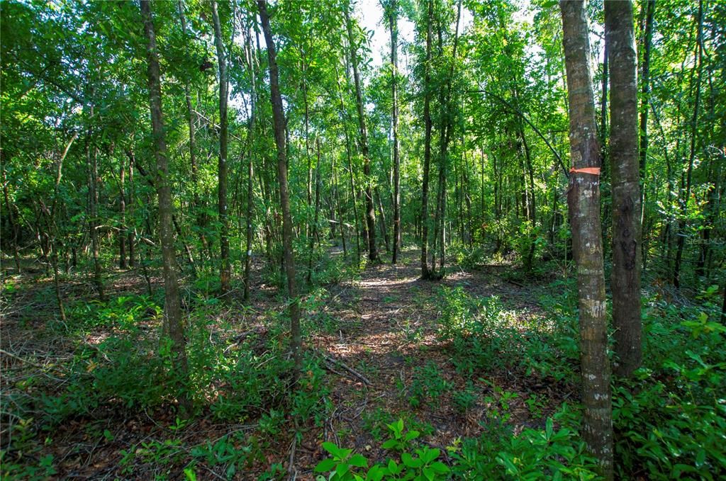待售: $528,000 (43.93 acres)