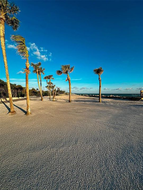 For Sale: $2,795,000 (1.13 acres)