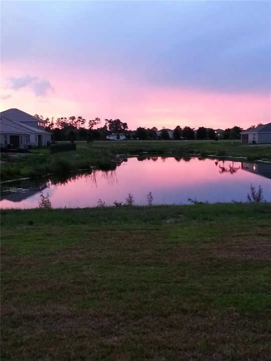 Active With Contract: $2,700 (5 beds, 3 baths, 3202 Square Feet)