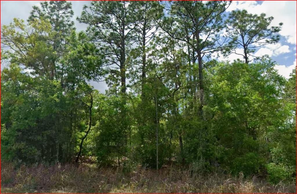 For Sale: $22,950 (0.28 acres)