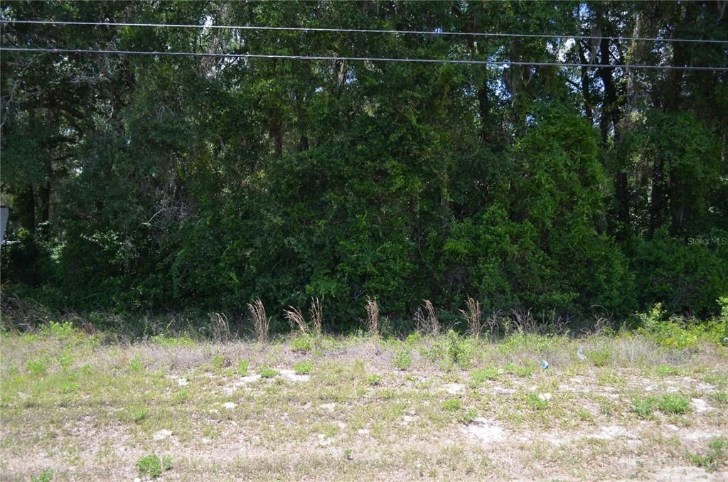 For Sale: $399,000 (3.01 acres)