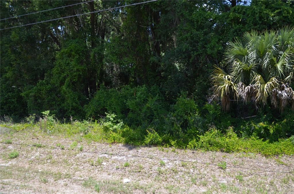 For Sale: $399,000 (3.01 acres)
