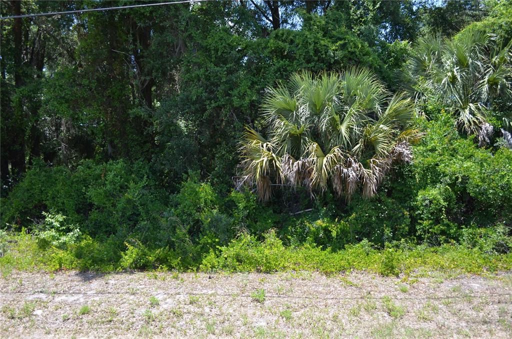 For Sale: $399,000 (3.01 acres)