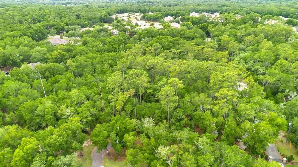 For Sale: $199,900 (2.50 acres)