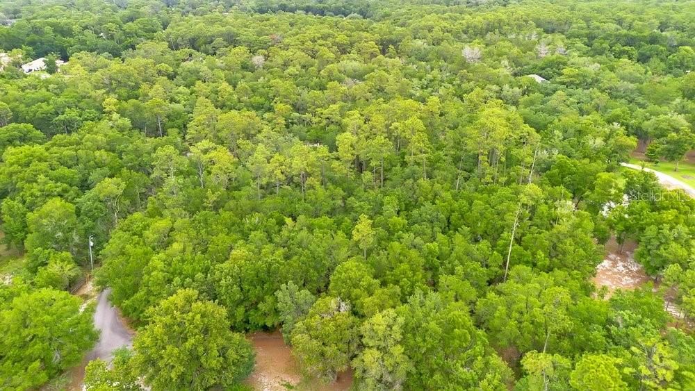 For Sale: $199,900 (2.50 acres)
