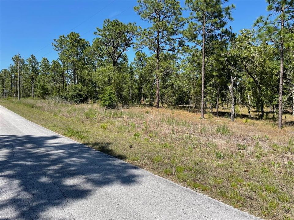 合同活跃: $25,995 (1.01 acres)