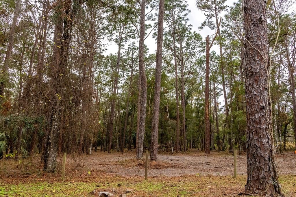 For Sale: $895,000 (7.30 acres)