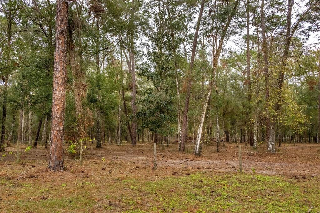 For Sale: $895,000 (7.30 acres)