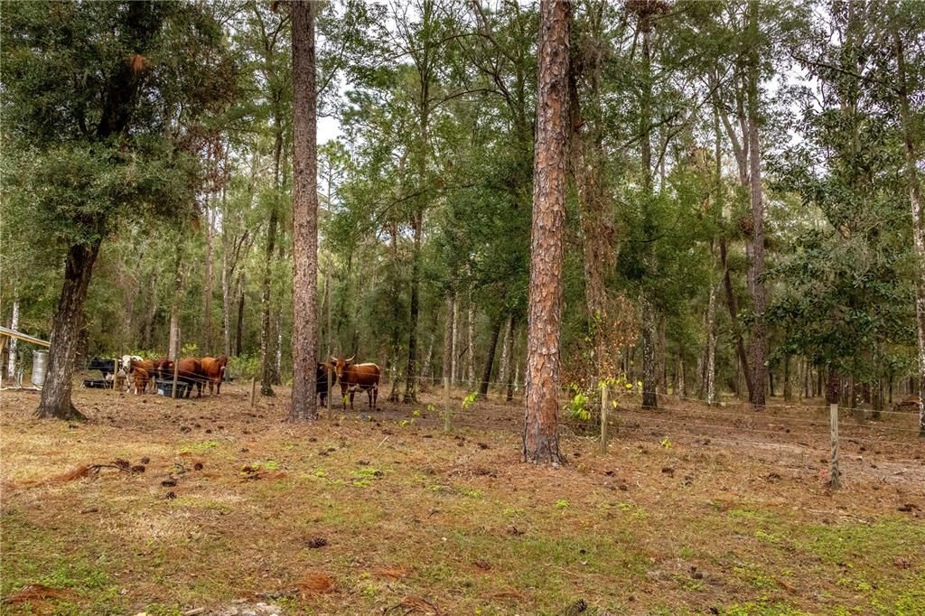 For Sale: $895,000 (7.30 acres)