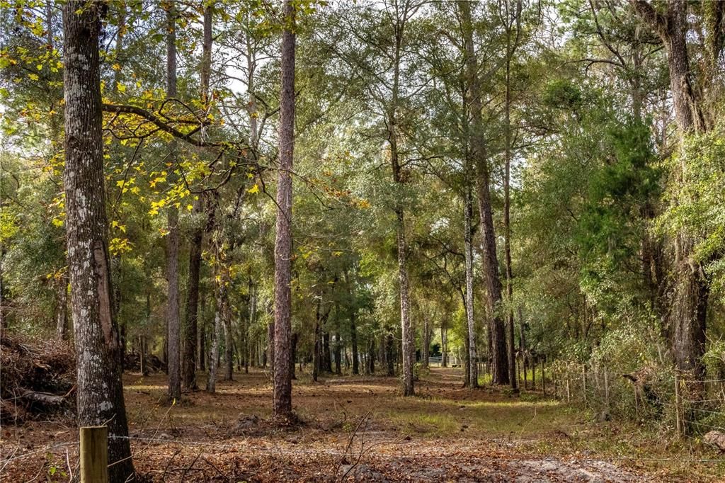 For Sale: $895,000 (7.30 acres)