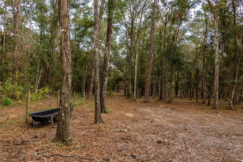 For Sale: $895,000 (7.30 acres)