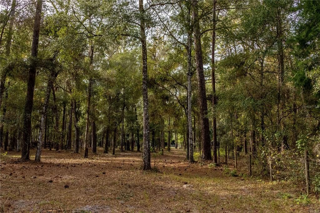 For Sale: $895,000 (7.30 acres)