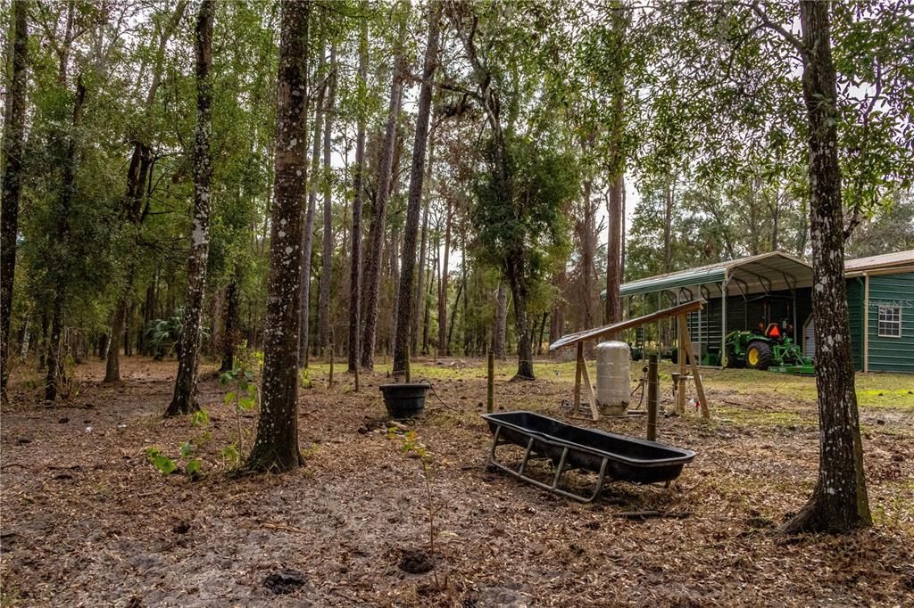 For Sale: $895,000 (7.30 acres)