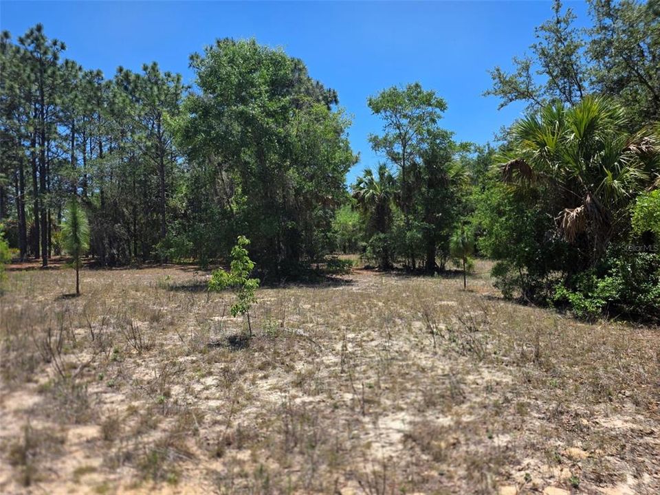 For Sale: $40,000 (1.00 acres)