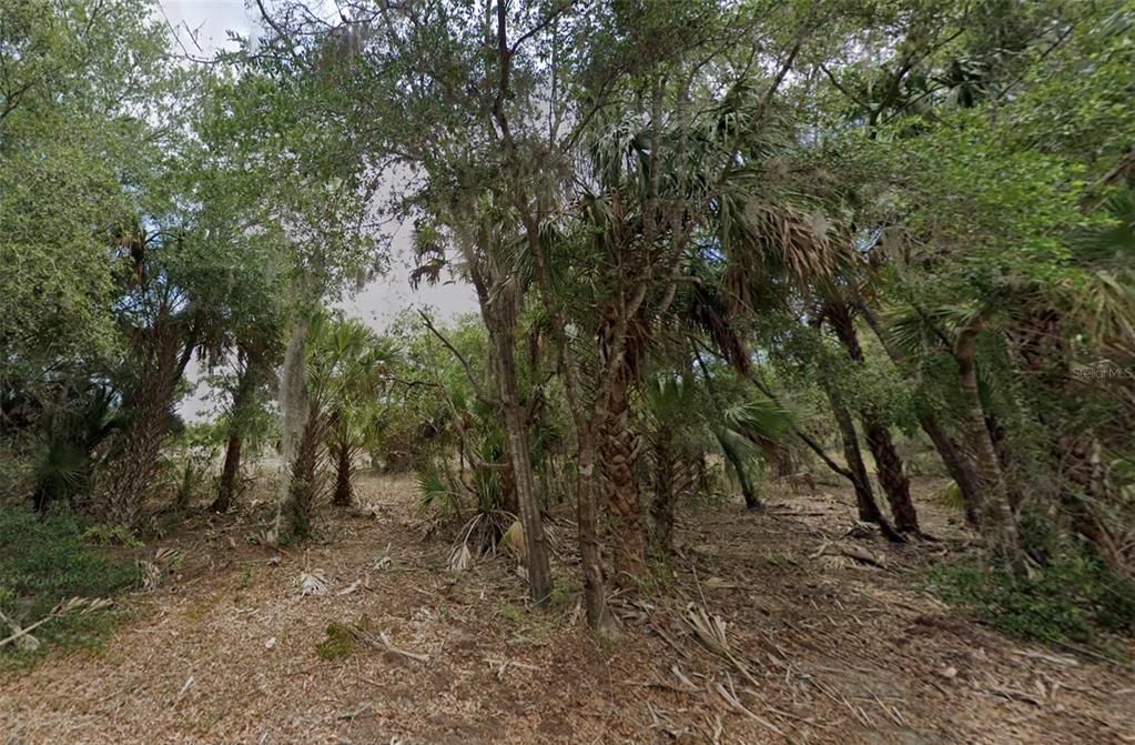 For Sale: $40,000 (1.00 acres)