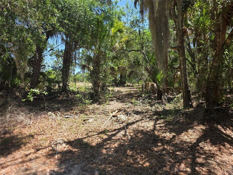 For Sale: $40,000 (1.00 acres)