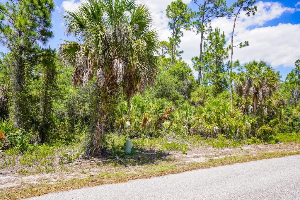 Active With Contract: $17,000 (0.23 acres)