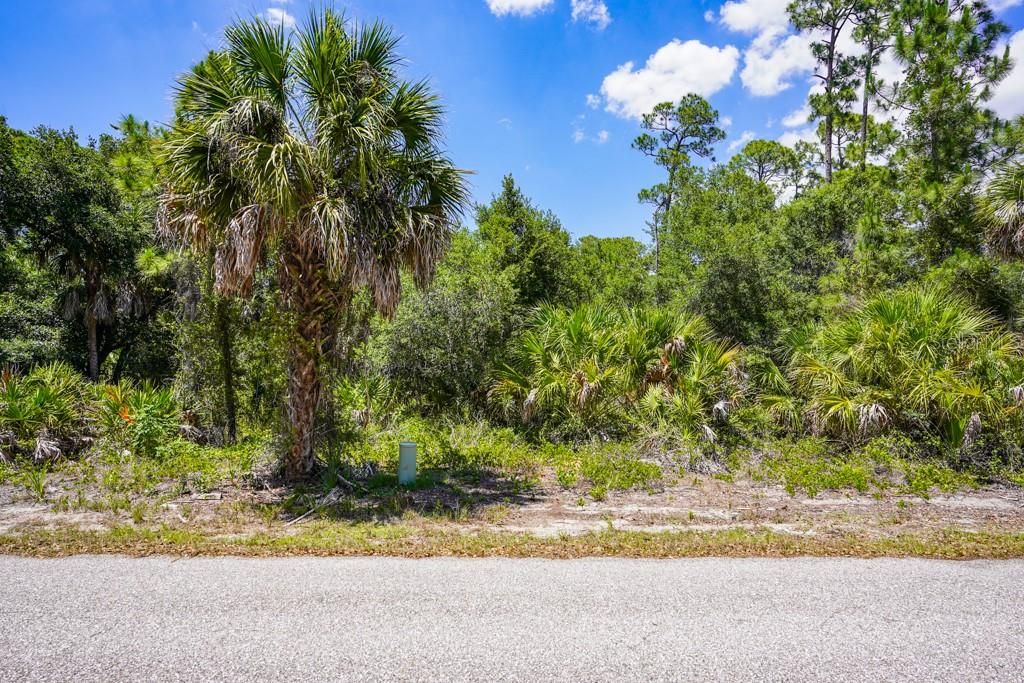 Active With Contract: $17,000 (0.23 acres)