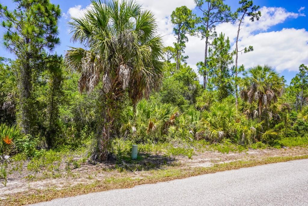 Active With Contract: $17,000 (0.23 acres)
