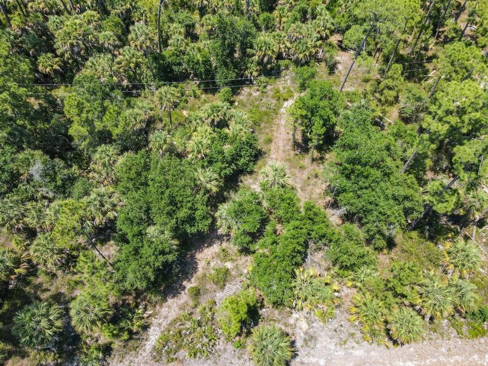 Active With Contract: $17,000 (0.23 acres)