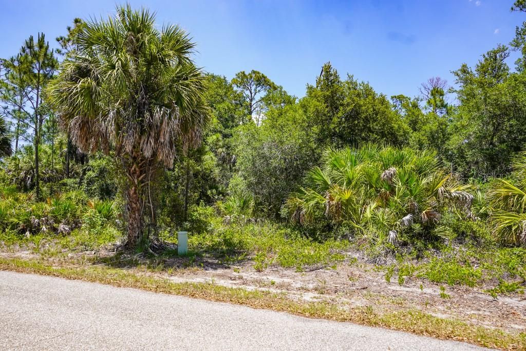Active With Contract: $17,000 (0.23 acres)